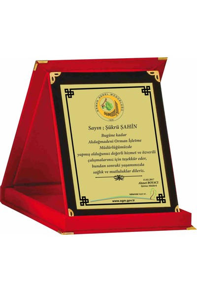 Hediyezade Plaket Logolu Plaket