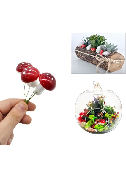 50li Köpük Mantar Teraryum Süsü Kırmızı