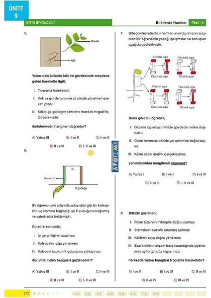 TYT AYT Biyoloji Tamamı Çözümlü Soru Bankası modelleri
