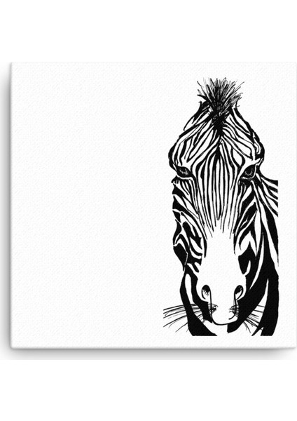 Zebra Kanvas Tablo