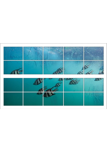 Pencere Akvaryum Balıklar Deniz Dibi Duvar Sticker