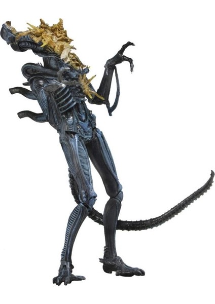 Aliens: Blue Battle Damaged Xenomorph Figure Series 12