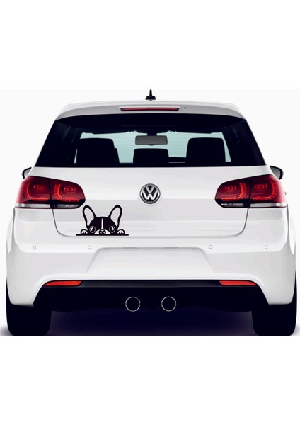 Meraklı Köpek Araba Arma Sticker