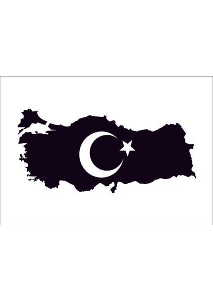 Türkiye Arma Sticker Araba Arma Sticker