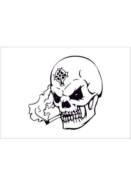 Skull Head Kafa Tası 3 Araba Arma Sticker
