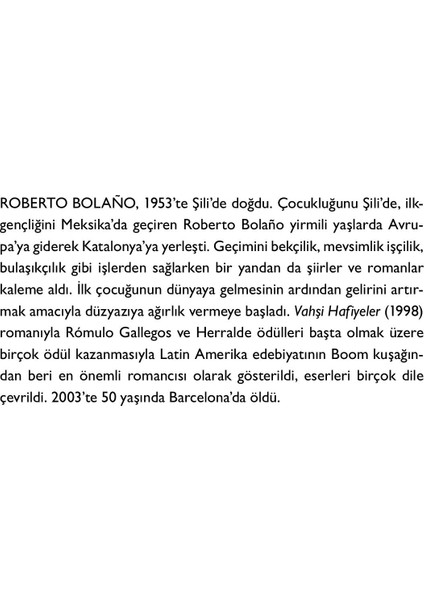 Vahşi Hafiyeler - Roberto Bolano