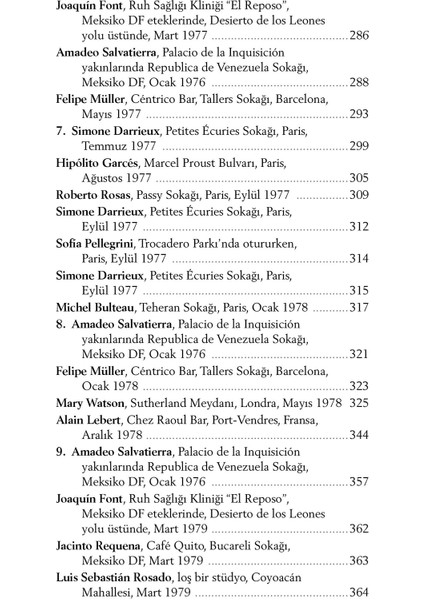 Vahşi Hafiyeler - Roberto Bolano