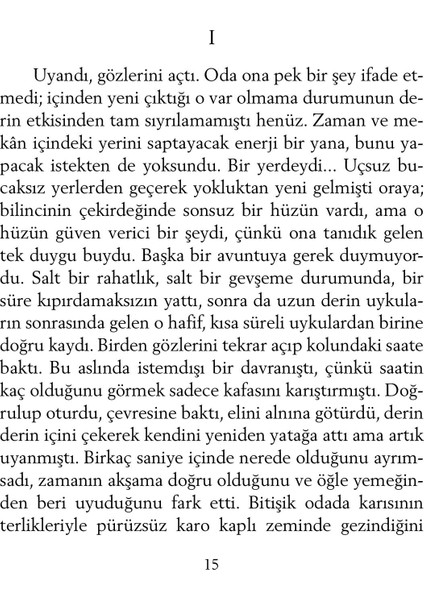 Esirgeyen Gökyüzü - Paul Bowles fiyatları