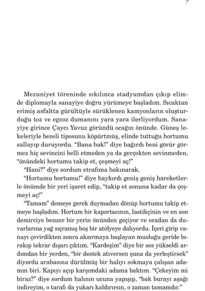 Bir Taşra Köpeği - Akın Aksu