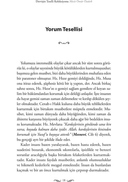 Dervişin Teselli Koleksiyonu - Mecit Ömür Öztürk