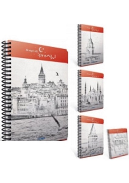 İstanbul A4 80 Yaprak Spiralli Karton Kapak Çizgili Defter 6689 fiyatları