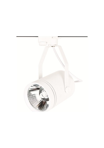 30W Led Ray Spot Armatür Ct-5364 Gün Işığı