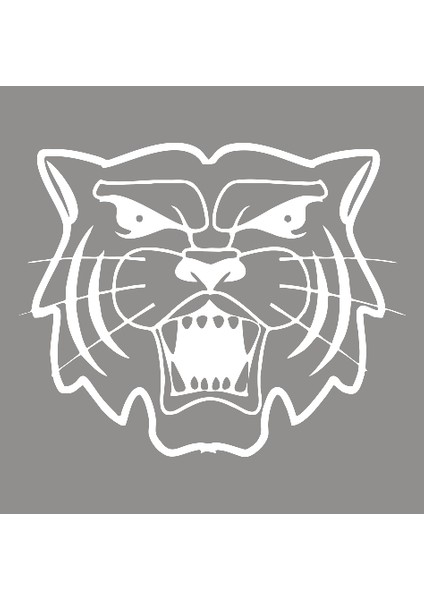 Kükreyen Dişlerini Gösteren Aslan Sticker Yapıştırma Beyaz