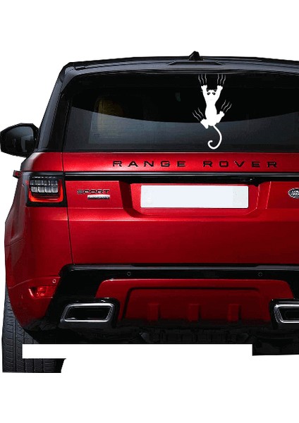 Pençe İzi Çıkaran Kedi Sticker Yapıştırma Beyaz