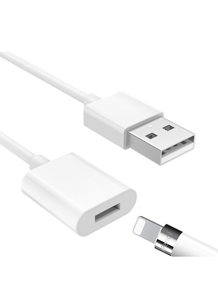 Apple Pencil için USB Şarj Kablosu - Beyaz