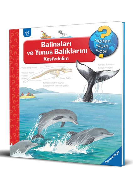 Ravensburger Maksi Balinaları Ve Yunus Balıklarını Keşfedelim