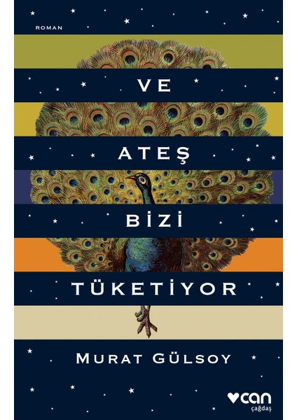 Ve Ateş Bizi Tüketiyor - Murat Gülsoy