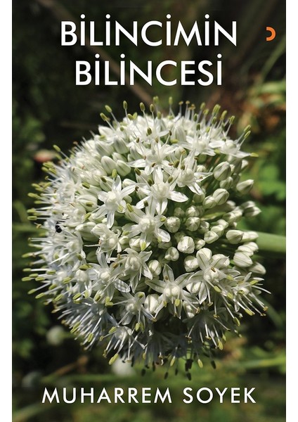 Bilincimin Bilincesi - Muharrem Soyek