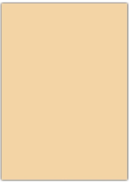 Fon Kartonu 50X70 Cm 100'Lü Paket Ten Rengi