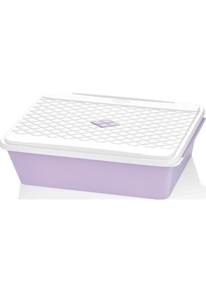 Smartlıne Saklama Kabı 4,5lt 3'lü Paket
