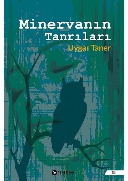 Minervanın Tanrıları - Uygar Taner