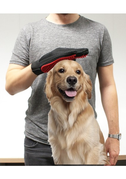 Tuy Toplama Eldiveni indirimleri