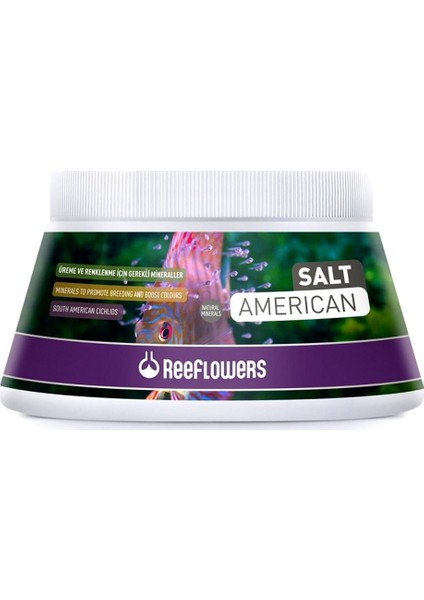 Salt American 250 Gr