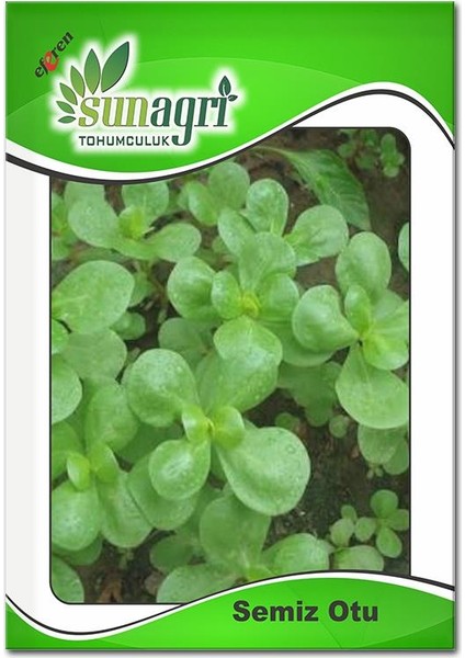 Kırmızı Cherry Fındık Turp Tohumu - 5 gr