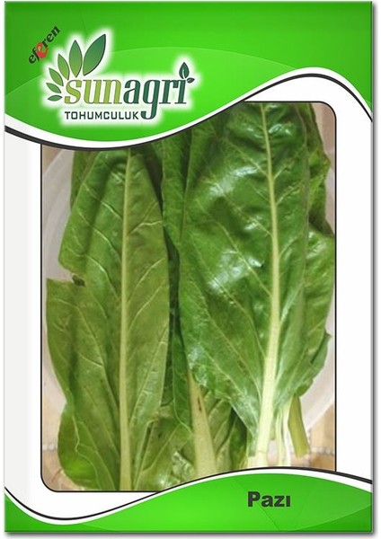 Pazı Tohumu (10 Gr.)