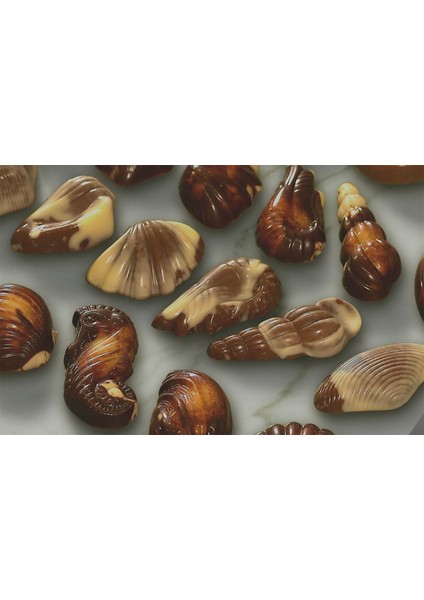 Guylıan Sea Shells 250gr fırsatları