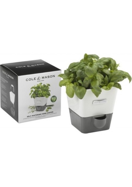 Cole Mason H105249 Yeşillik Saklama Kabi