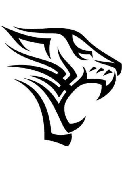 Areksan Kükreyen Aslan Duvar Sticker