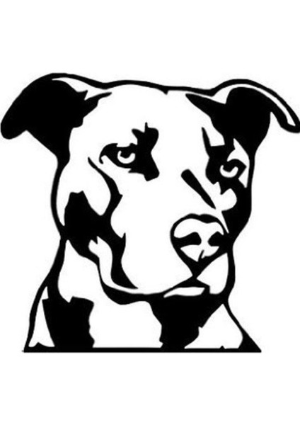 Areksan Sert Bakışlı Köpek Sticker