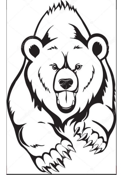 Areksan Sinirli Ayı Duvar Sticker 50 cm