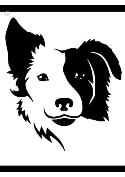 Areksan Siyah Beyaz Köpek Duvar Sticker 50cm