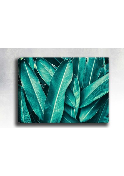 Tablocenter Çiçek Kanvas Tablo 70 x 100 cm