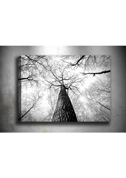 Tablocenter Dekoratif Kanvas Tablo 30 x 40 cm