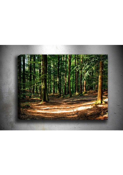 Tablocenter Manzara Kanvas Tablo 100 x 140 cm