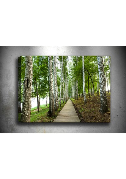 Tablocenter Manzara Kanvas Tablo 50 x 70 cm
