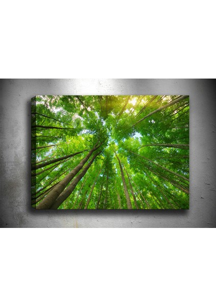 Tablocenter Manzara Kanvas Tablo 30 x 40 cm