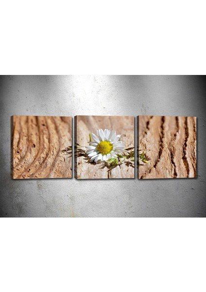 Tablocenter 3 Parçalı Çiçek Kanvas Tablo 30 x 90 cm