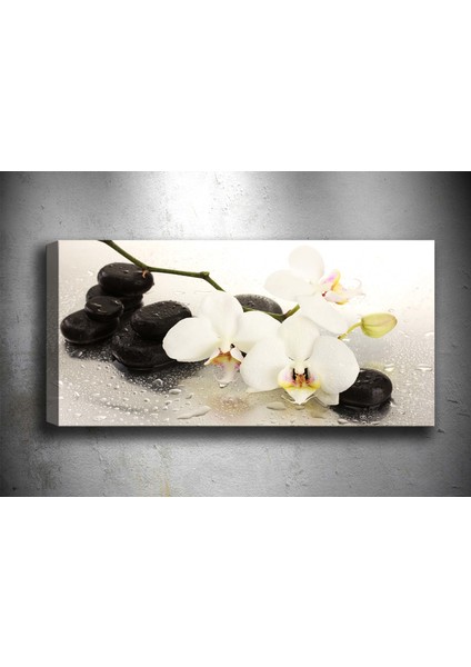 Tablocenter Çiçek Kanvas Tablo 50 x 120 cm