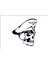 Skull Head Kafa Tası 4 Araba Arma Sticker 1