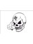 Skull Head Kafa Tası 3 Araba Arma Sticker 1