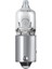 Universal H6W 12V Ampul 1