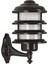BAP-68131-BSY Siyah Boyalı Dış Mekan Aydınlatma E27 Aluminyum Polikarbon Cam 25cm 1