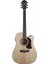 Heritage 20 Serisi Hd20Sce Elektro Akustik Gitar 1