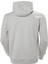 Helly Hansen HH Logo Hoodie Erkek Sweatshirt 2