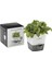 Cole Mason H105249 Yeşillik Saklama Kabi 3