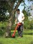 Black & Decker 25 cm Strimmer 350W GL361 2